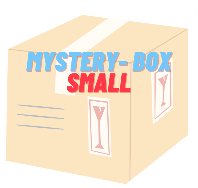 DelhiSnacks's Chips Mystery Box(Small)